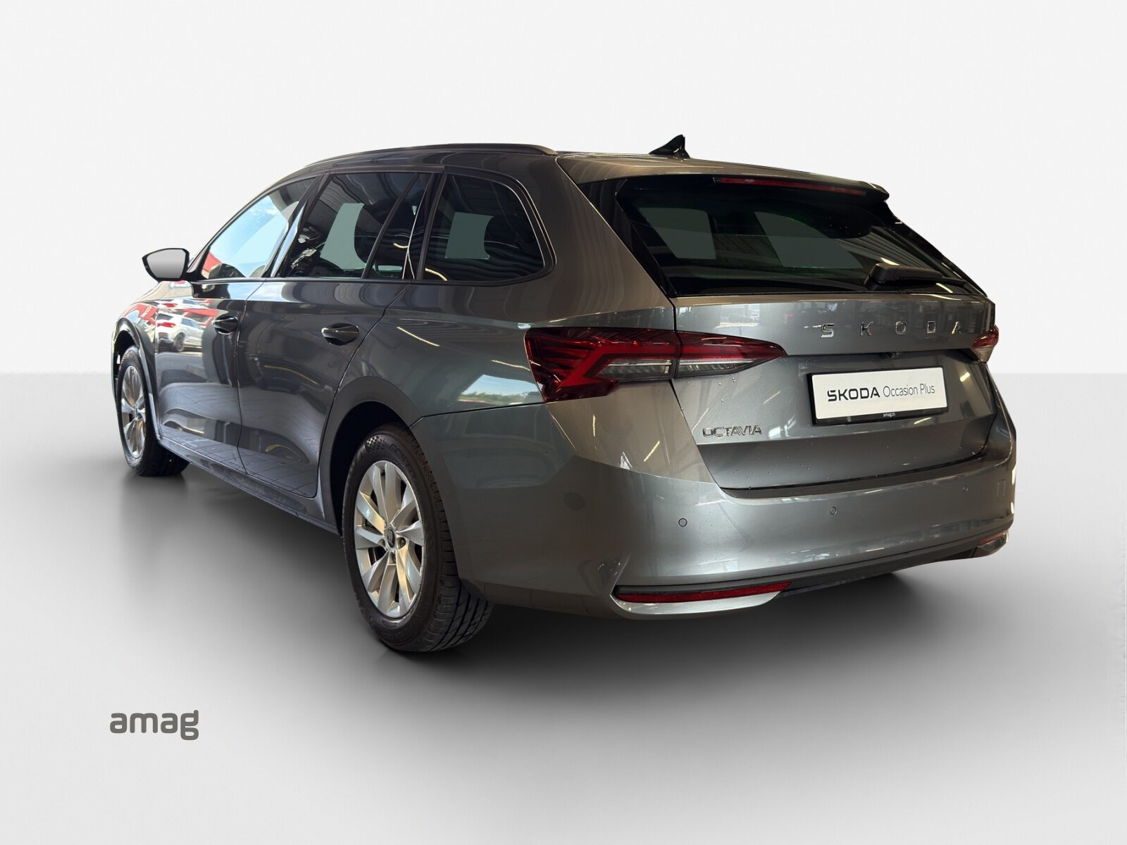 SKODA Octavia Selection, Diesel, Occasioni / Usate, Automatico - 3