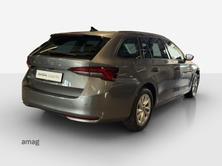 SKODA Octavia Selection, Diesel, Occasioni / Usate, Automatico - 5