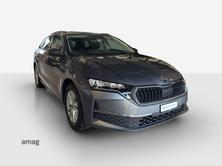 SKODA Octavia Selection, Diesel, Occasioni / Usate, Automatico - 6