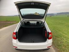 SKODA Octavia Combi 1.6 TDI Ambition 4x4 mit Anhängerkupplu, Diesel, Occasion / Gebraucht, Handschaltung - 6