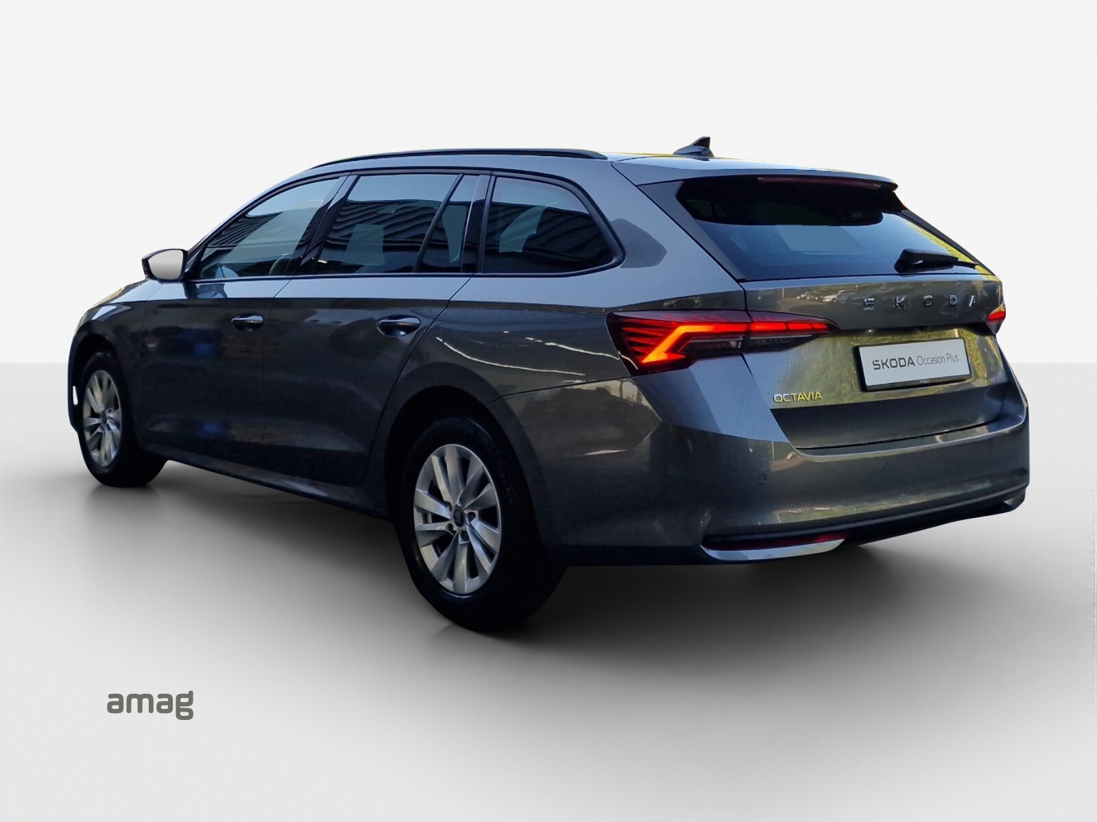 SKODA Octavia Selection, Diesel, Occasioni / Usate, Automatico - 3