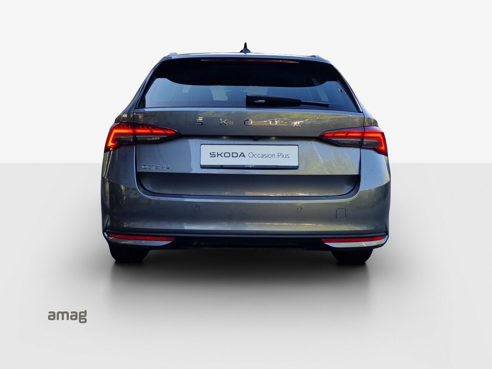SKODA Octavia Selection, Diesel, Occasioni / Usate, Automatico - 4