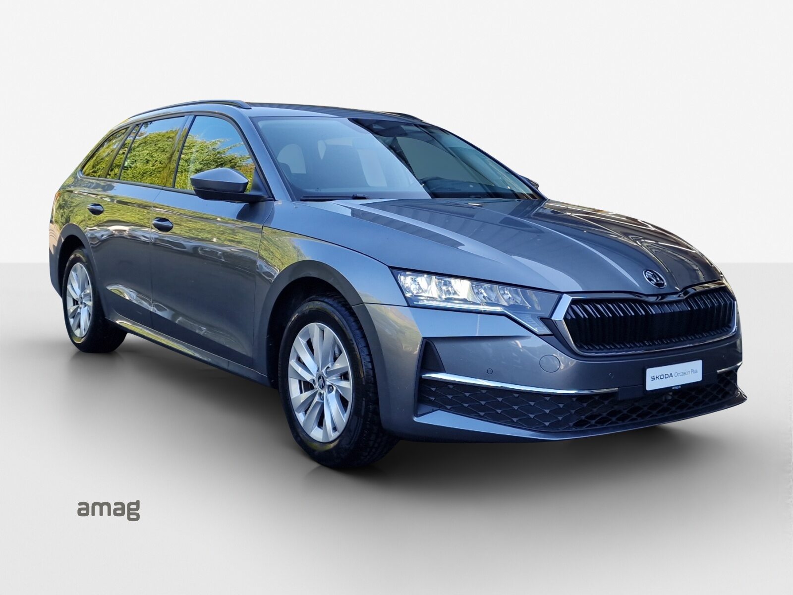 SKODA Octavia Selection, Diesel, Occasioni / Usate, Automatico - 6