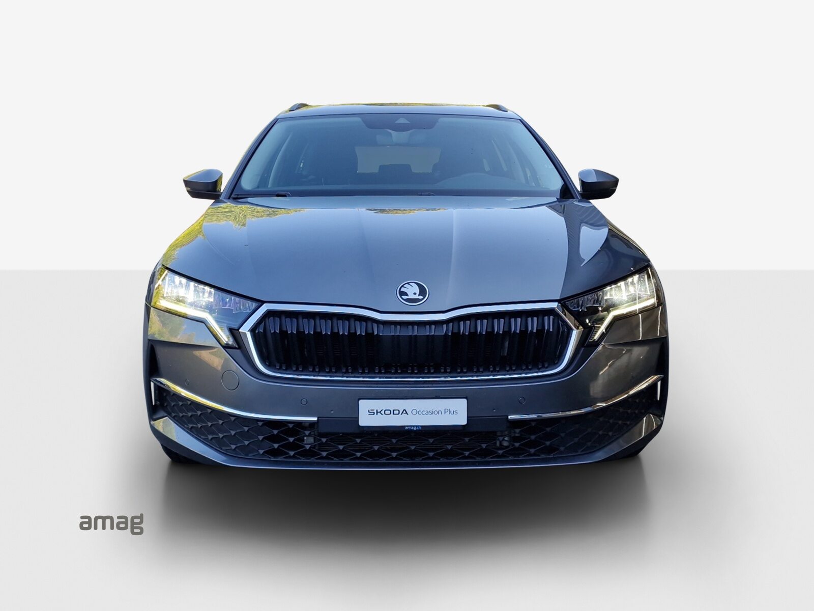 SKODA Octavia Selection, Diesel, Occasioni / Usate, Automatico - 7