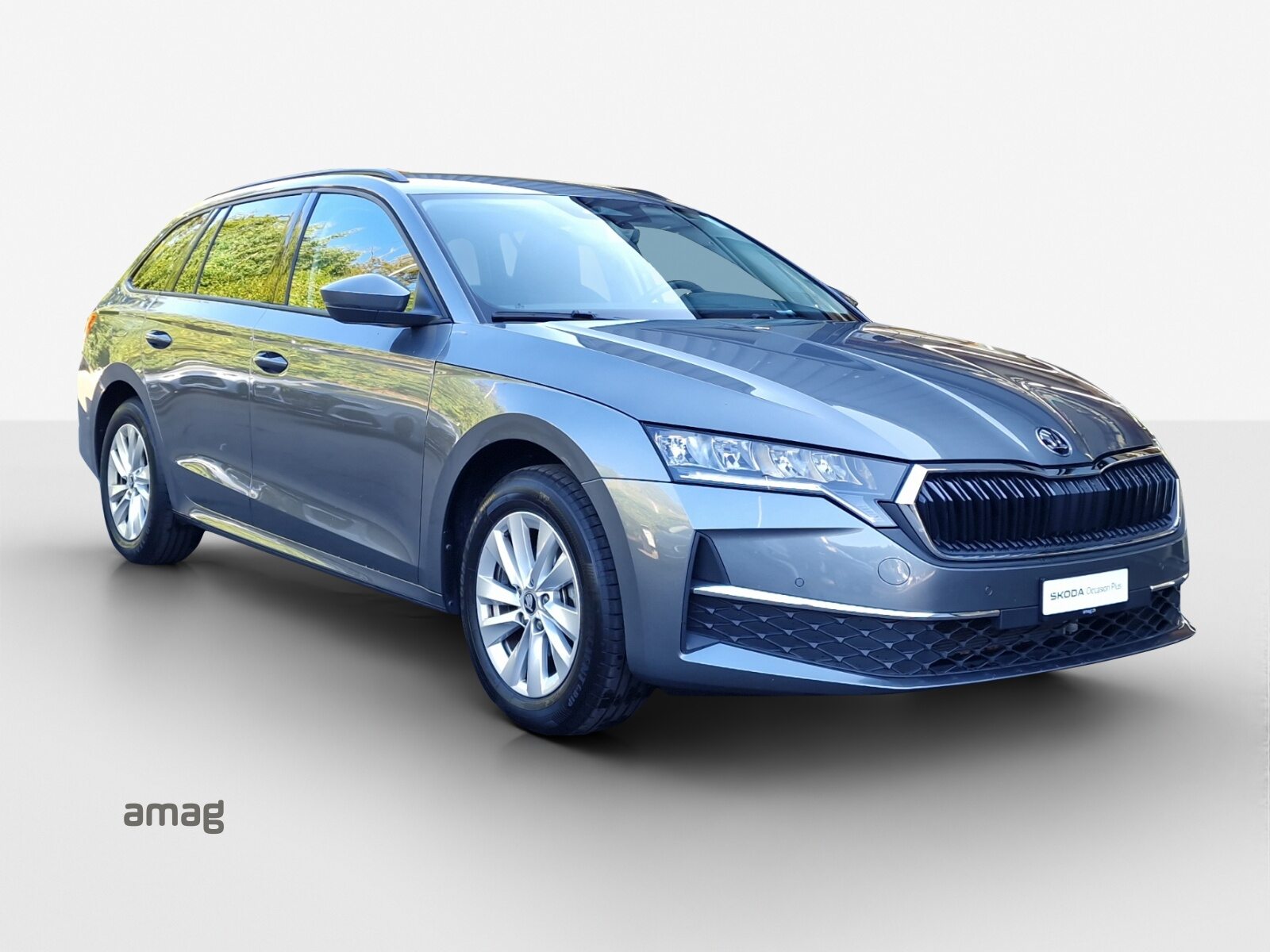 SKODA Octavia Selection, Diesel, Occasioni / Usate, Automatico - 6