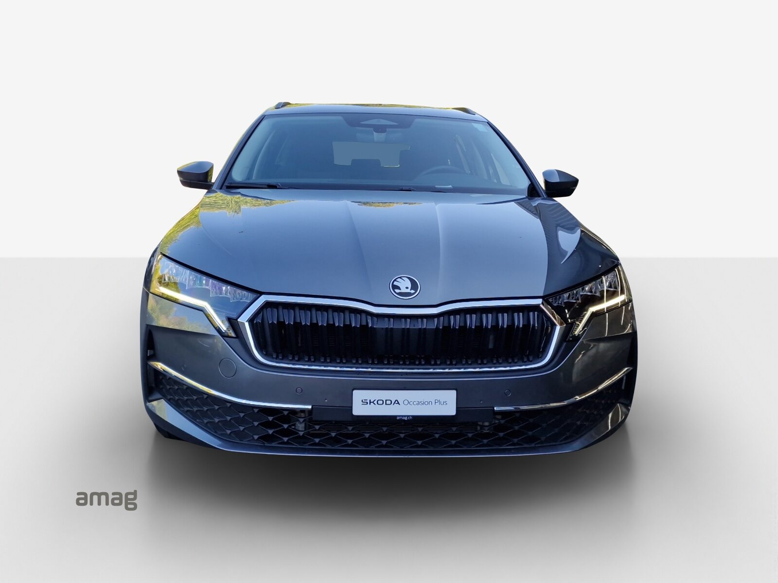 SKODA Octavia Selection, Diesel, Occasioni / Usate, Automatico - 7