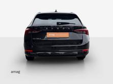 SKODA Octavia Style, Diesel, Occasioni / Usate, Automatico - 4