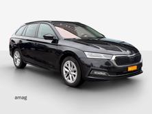 SKODA Octavia Style, Diesel, Occasioni / Usate, Automatico - 6