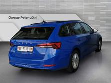SKODA Octavia Combi 2.0 TDI DSG Ambition 4x4, Diesel, Occasioni / Usate, Automatico - 5