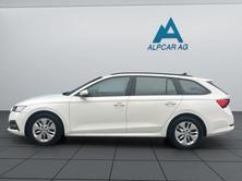 SKODA Octavia Combi 2.0 TDI DSG Ambition 4x4, Diesel, Occasioni / Usate, Automatico - 4