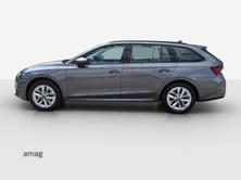 SKODA Octavia Selection, Benzina, Occasioni / Usate, Automatico - 3