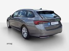 SKODA Octavia Selection, Benzina, Occasioni / Usate, Automatico - 4