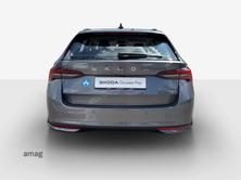SKODA Octavia Selection, Benzina, Occasioni / Usate, Automatico - 5