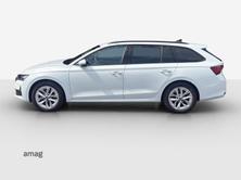 SKODA Octavia Selection MHEV, Benzina, Occasioni / Usate, Automatico - 2