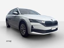 SKODA Octavia Selection MHEV, Benzina, Occasioni / Usate, Automatico - 6