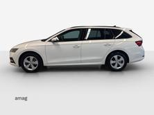 SKODA Octavia Ambition, Diesel, Occasion / Utilisé, Automatique - 2