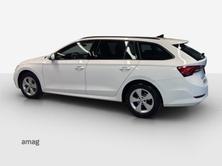SKODA Octavia Ambition, Diesel, Occasion / Utilisé, Automatique - 3