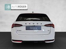 SKODA Octavia Combi 2.0 TSI DSG Dynamic 4x4, Benzina, Occasioni / Usate, Automatico - 5