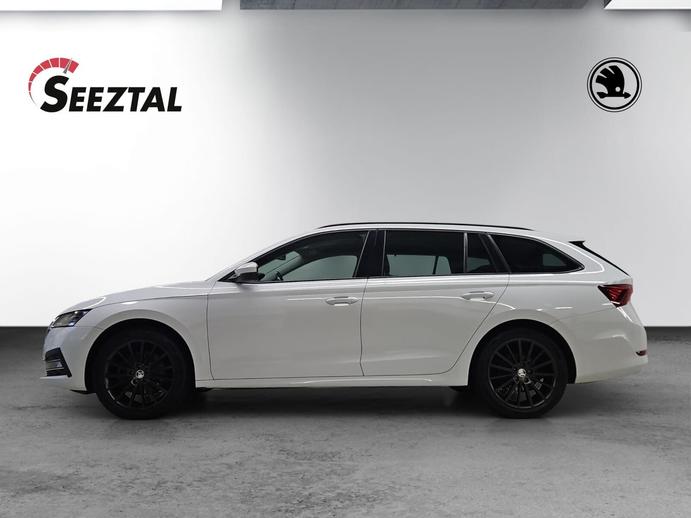 SKODA NEW OCTAVIA Style, Diesel, Occasioni / Usate, Automatico
