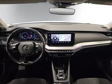 SKODA NEW OCTAVIA Style, Diesel, Occasioni / Usate, Automatico - 7