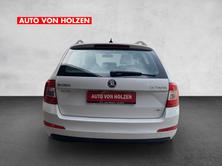 SKODA Octavia Combi 1.6 TDI Ambition 4x4, Diesel, Occasion / Utilisé, Manuelle - 3