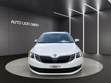 SKODA Octavia Combi 2.0 TDI Scout 4x4 DSG, Diesel, Occasioni / Usate, Automatico - 2