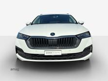 SKODA Octavia Ambition, Diesel, Occasion / Utilisé, Automatique - 7