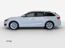 SKODA Octavia Selection MHEV, Benzina, Occasioni / Usate, Automatico - 2