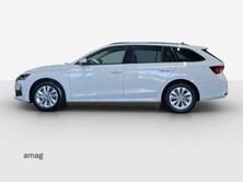 SKODA Octavia Selection MHEV, Benzina, Occasioni / Usate, Automatico - 2