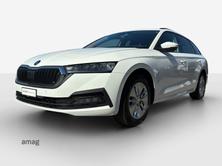 SKODA Octavia Ambition, Diesel, Occasion / Utilisé, Automatique - 2