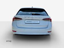 SKODA Octavia Ambition, Diesel, Occasion / Utilisé, Automatique - 5