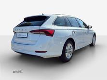 SKODA Octavia Ambition, Diesel, Occasion / Utilisé, Automatique - 6