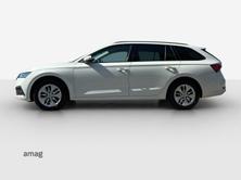 SKODA Octavia Ambition, Diesel, Occasion / Utilisé, Automatique - 3