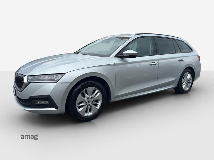 SKODA Octavia Ambition, Diesel, Occasioni / Usate, Automatico