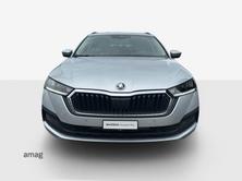 SKODA Octavia Ambition, Diesel, Occasioni / Usate, Automatico - 7