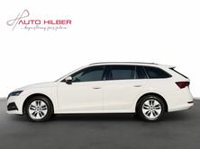 SKODA Octavia Combi 2.0 TDI DSG Ambition *Anhängerkupplung*, Diesel, Second hand / Used, Automatic - 3