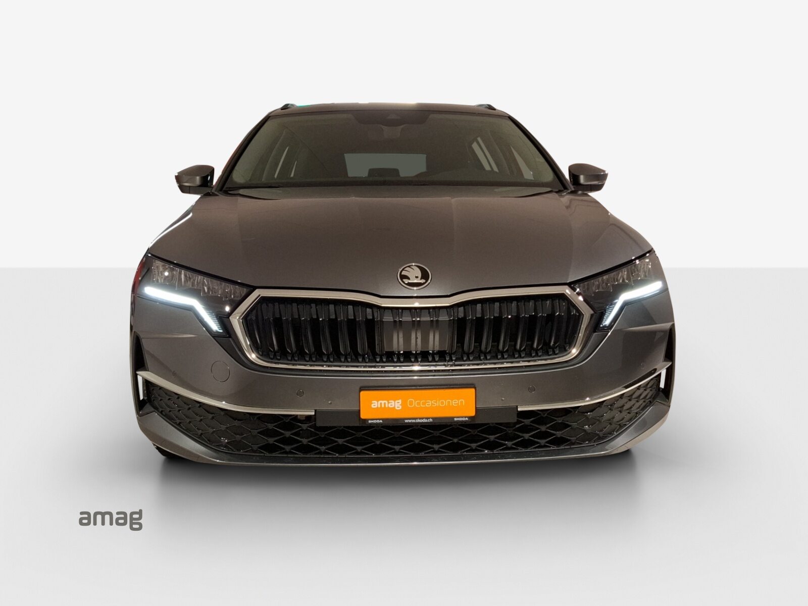 SKODA Octavia Selection MHEV, Benzina, Occasioni / Usate, Automatico - 7