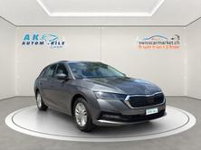 SKODA Octavia Combi 2.0 TDI DSG Ambition 4x4, Diesel, Occasioni / Usate, Automatico - 2