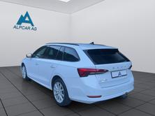 SKODA Octavia Combi 2.0 TSI Ambition DSG 4x4, Benzina, Occasioni / Usate, Automatico - 5