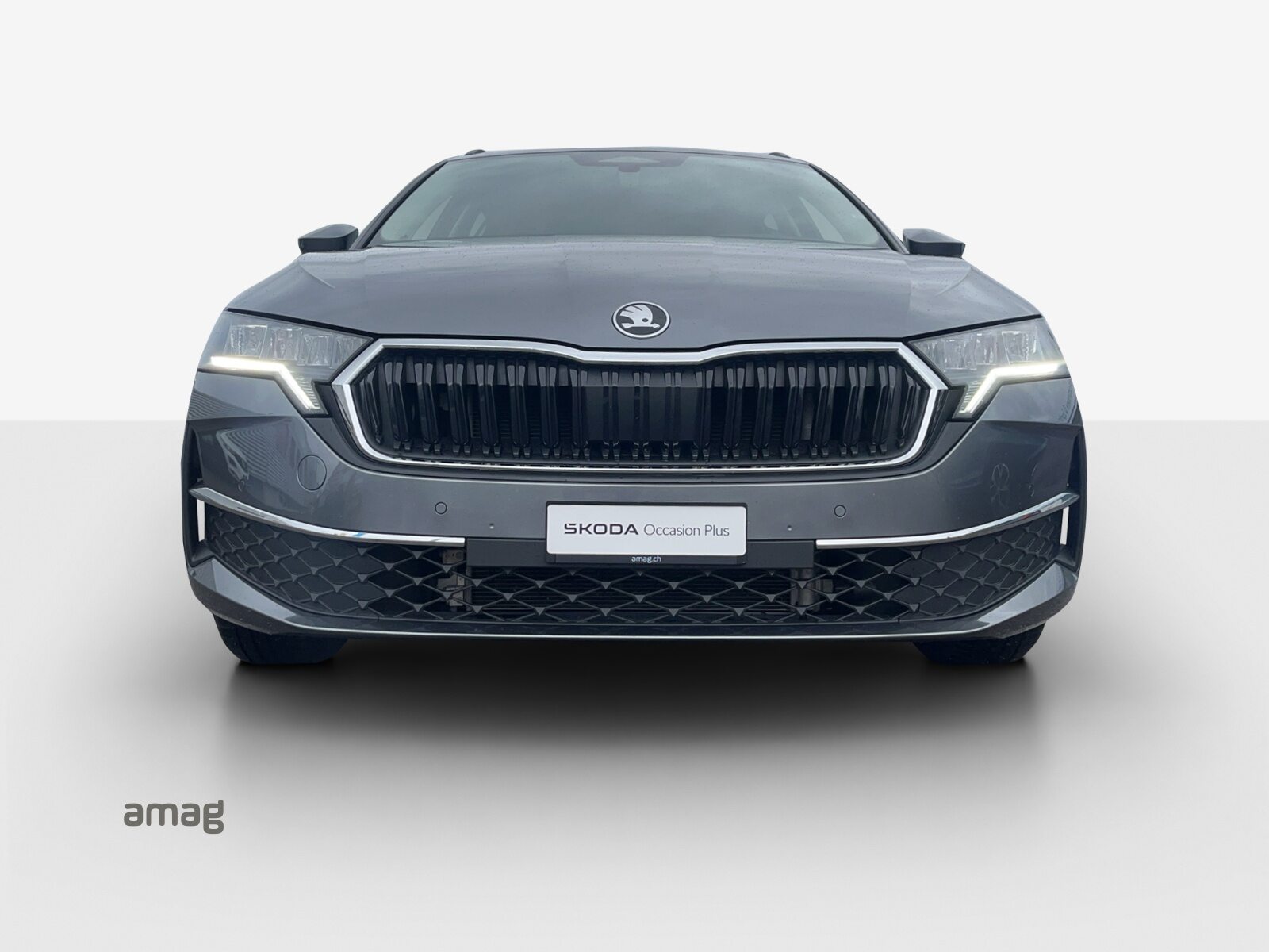 SKODA Octavia Selection MHEV, Benzina, Occasioni / Usate, Automatico - 7