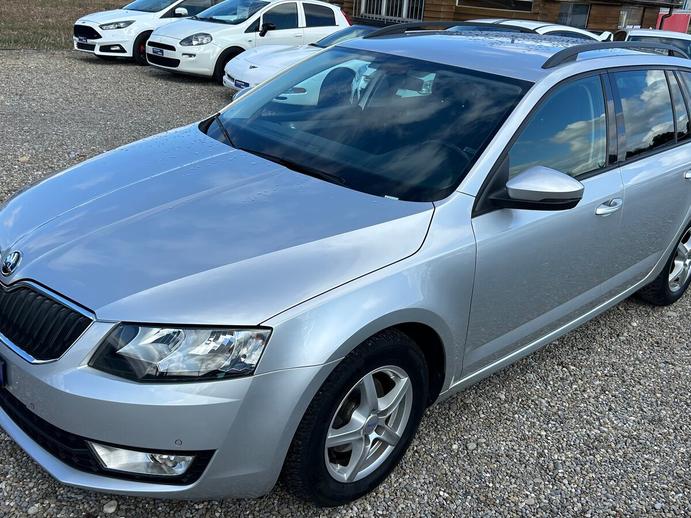 SKODA Octavia Combi 1.6 TDI Ambition DSG, Diesel, Occasion / Gebraucht, Automatik