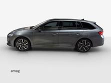 SKODA Octavia Sportline Dynamic (Netto), Benzina, Occasioni / Usate, Automatico - 2
