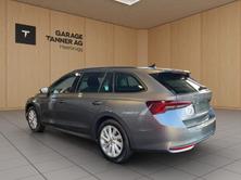 SKODA Octavia Selection, Diesel, Occasioni / Usate, Automatico - 6