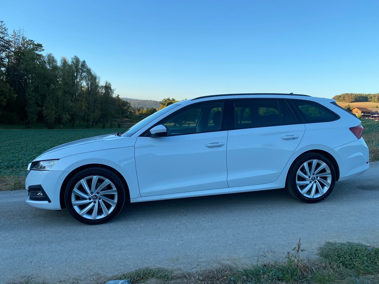SKODA Octavia Combi 2.0 TDI DSG Style 4x4, Diesel, Occasion / Gebraucht, Automatik - 3