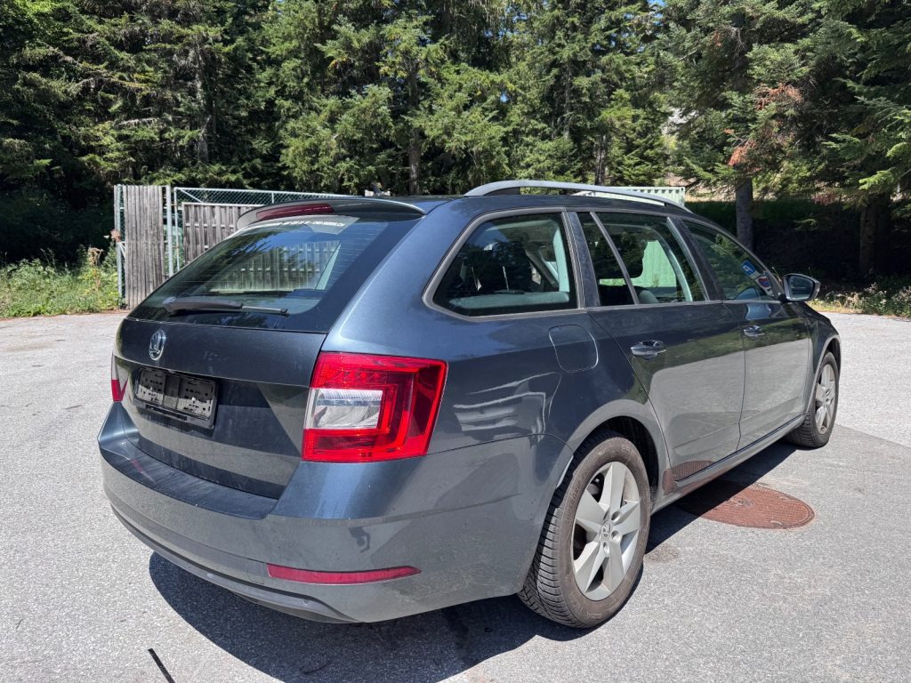 SKODA OCTAVIA 1.8 TSI Ambition 4x4 DSG, Essence, Occasion / Utilisé, Automatique - 5