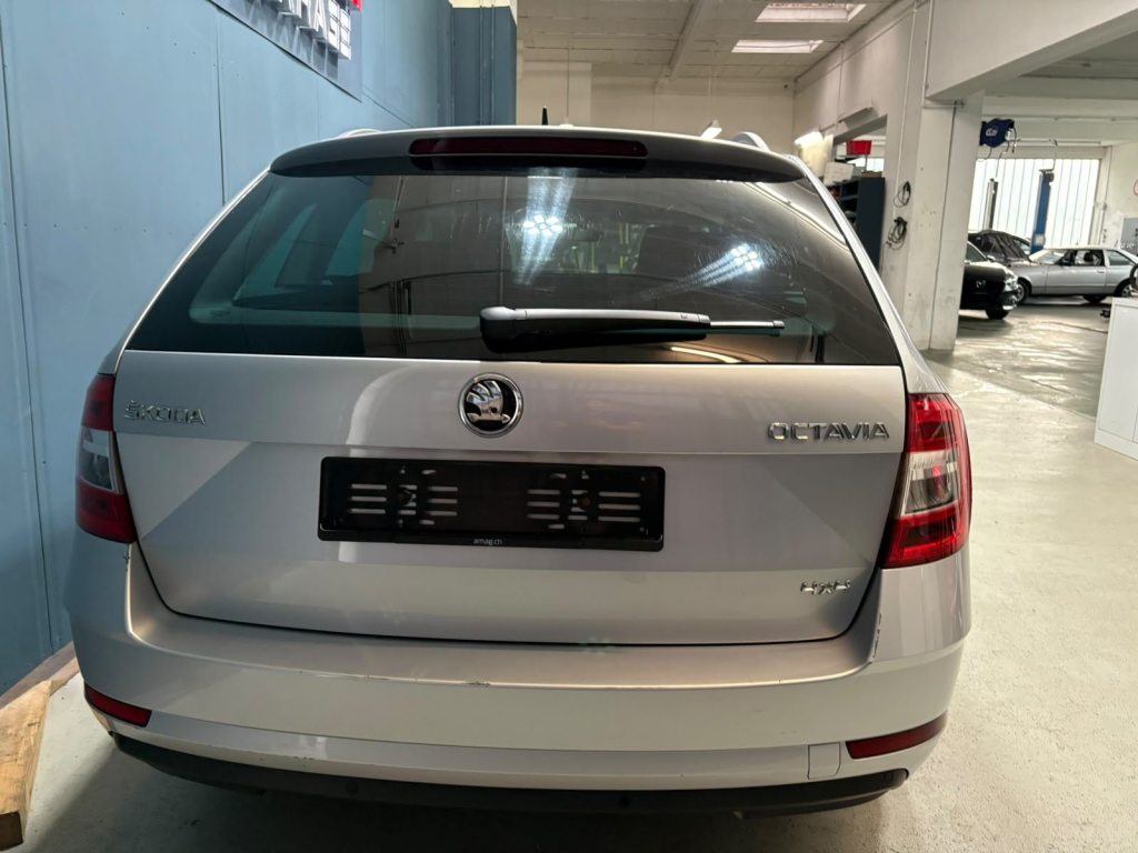 SKODA 2.0 TDI 150 4x4 DSG, Diesel, Occasioni / Usate, Automatico - 5