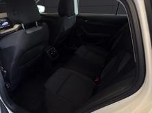 SKODA OCTAVIA 1.0 TSI Ambition DSG, Mild-Hybrid Benzin/Elektro, Occasion / Gebraucht, Automatik - 7