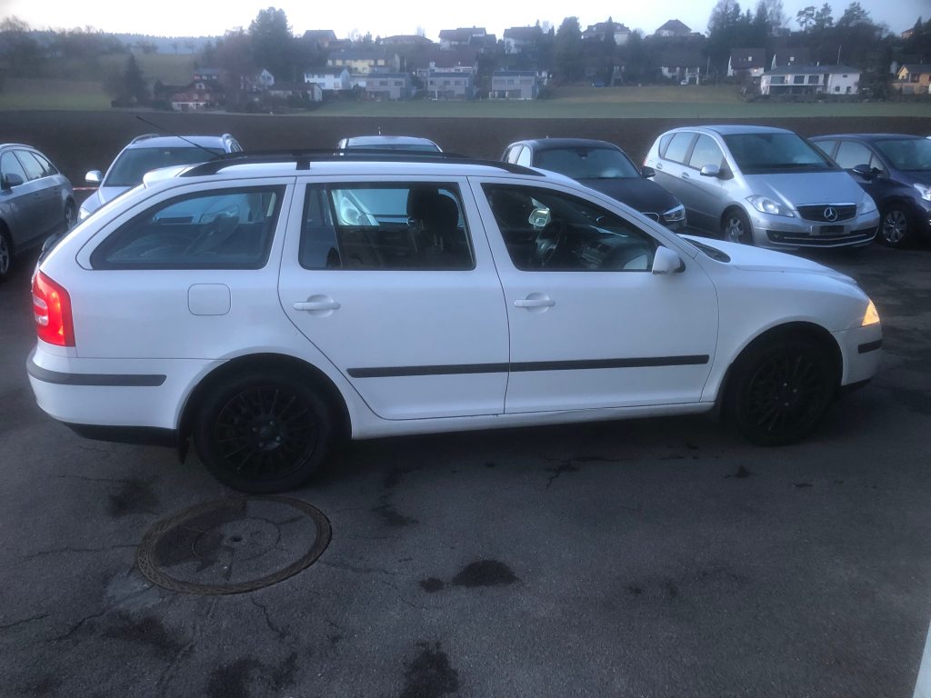 SKODA OCTAVIA 1.9 TDI 105 DPF Adventure 4x4, Diesel, Occasion / Gebraucht, Handschaltung - 4