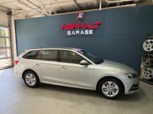 SKODA OCTAVIA 2.0 TDI Ambition DSG, Diesel, Second hand / Used, Automatic - 4