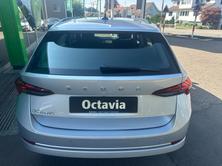 SKODA Octavia Combi 2.0 TDI DSG Ambition, Diesel, Vorführwagen, Automat - 6